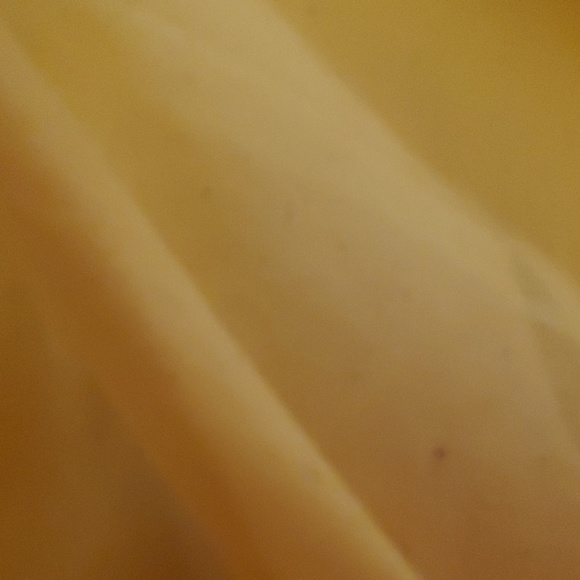 Meet your Posher, Andrew - Picture 1 of 1